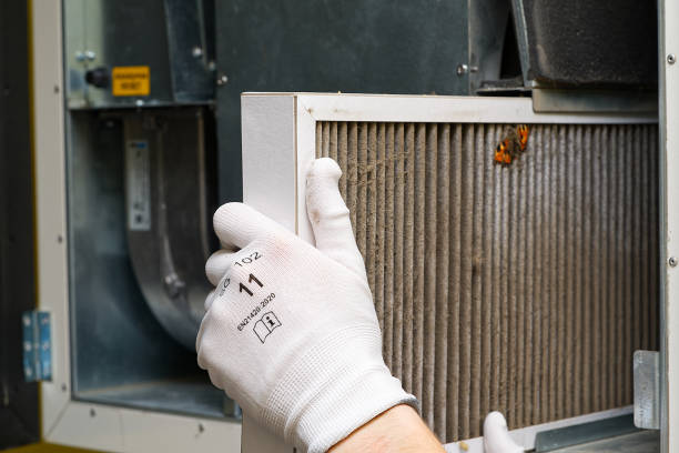 Ductwork Cleaning Services in Rainbow Springs, FL