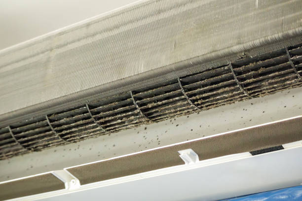 Professional Airduct Cleaning in Rainbow Springs, FL